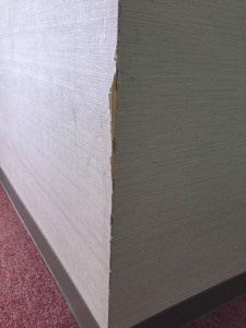 写真 2015-09-15 14 54 23