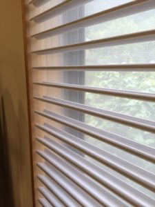 写真 2016-06-24 10 06 49_R