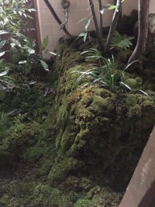 %e5%86%99%e7%9c%9f-2016-10-31-14-25-29_r