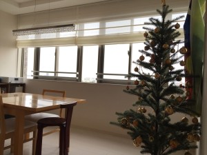 写真 2015-12-21 11 12 19_R