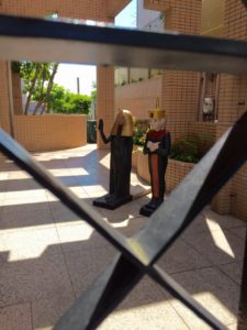 写真 2016-05-18 13 37 01